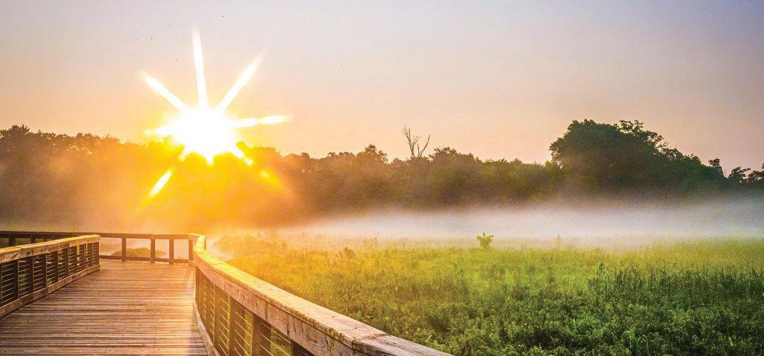 Image looking beyond the railing of Neabsco Creek Boardwalk at sunset