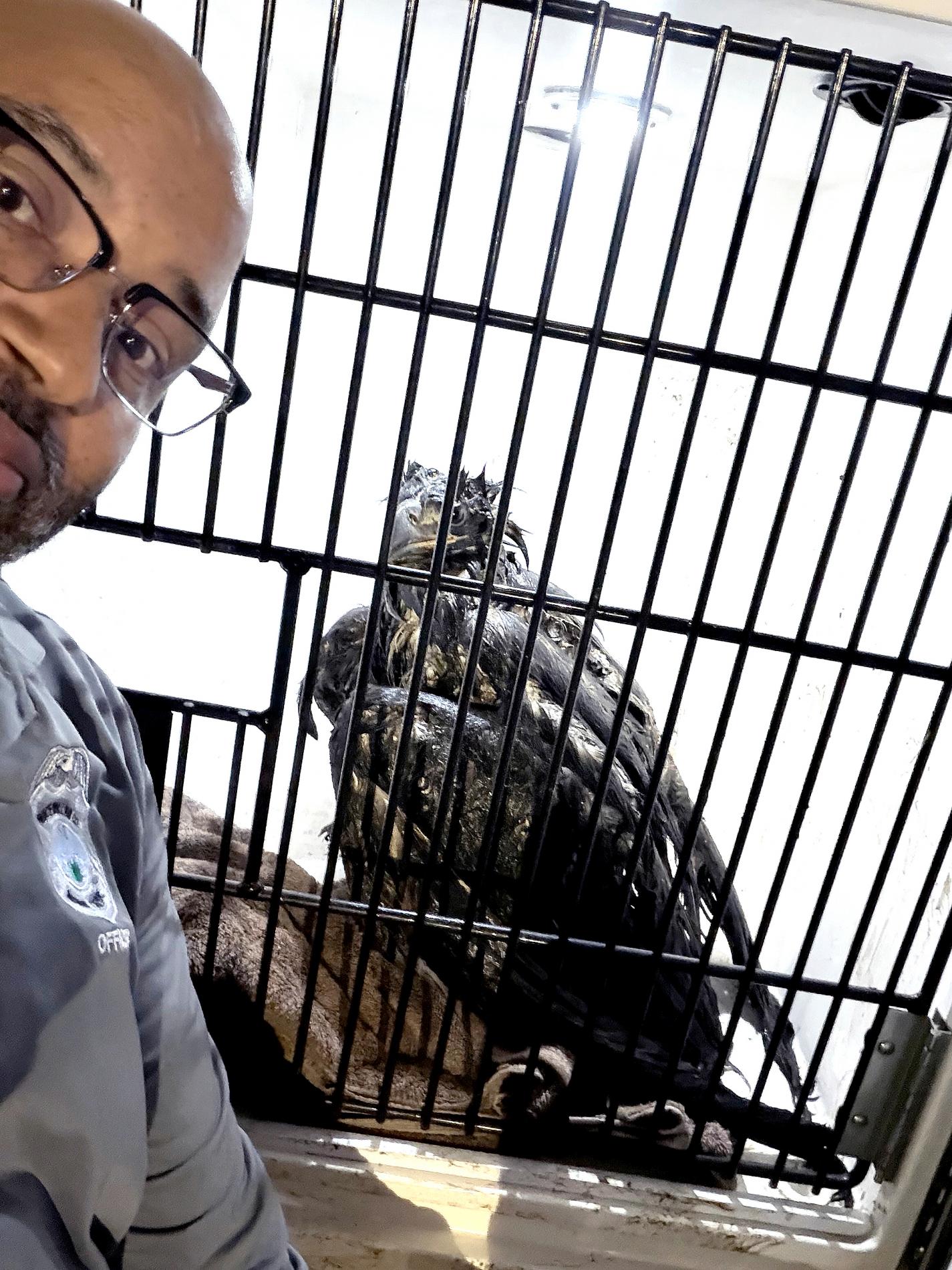 Animal control officer Brent White with an eagle