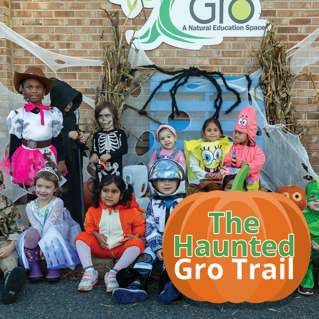 The Haunted Gro Trail